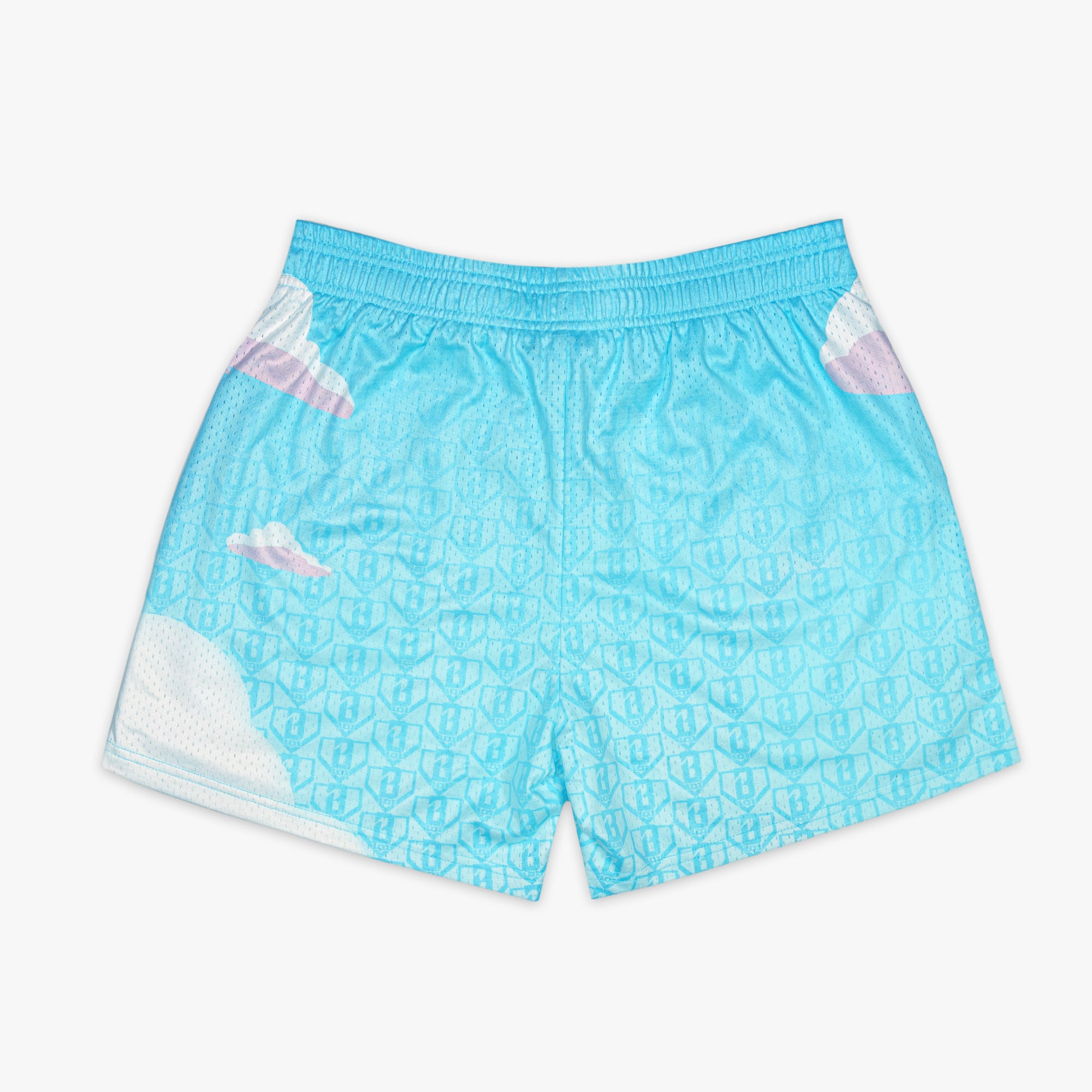 Backyard Dream Youth Shorts - Image 2